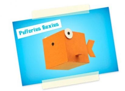 Puffer Boxius Derrick the Deathfin puffer