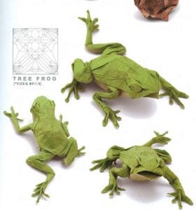 tree frog