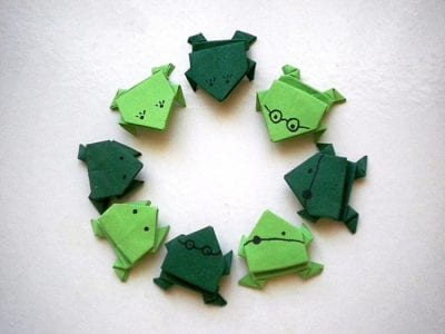 Frog Origami 8mCnS