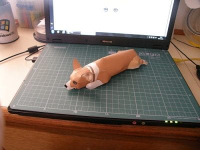 Corgi the dog Pj0SH